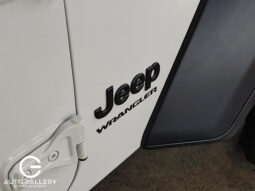 JEEP WRANGLER SPORT 2024 lleno